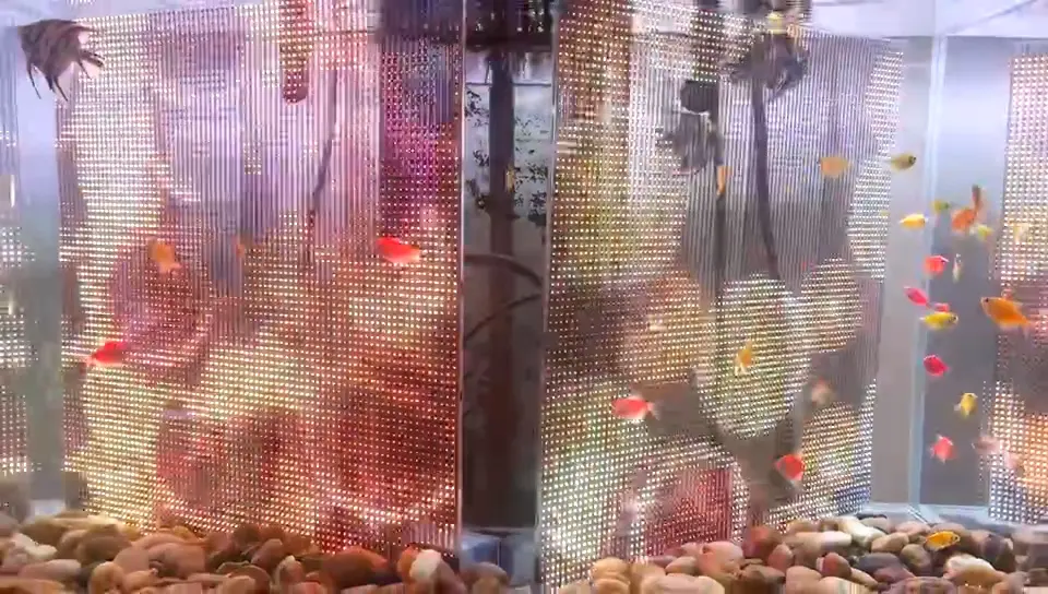 P6LED transparent film diving screen (3)4dt
