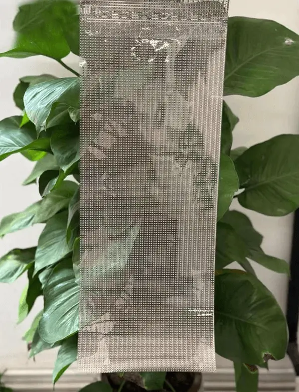 Flexible Transparent Display Screen